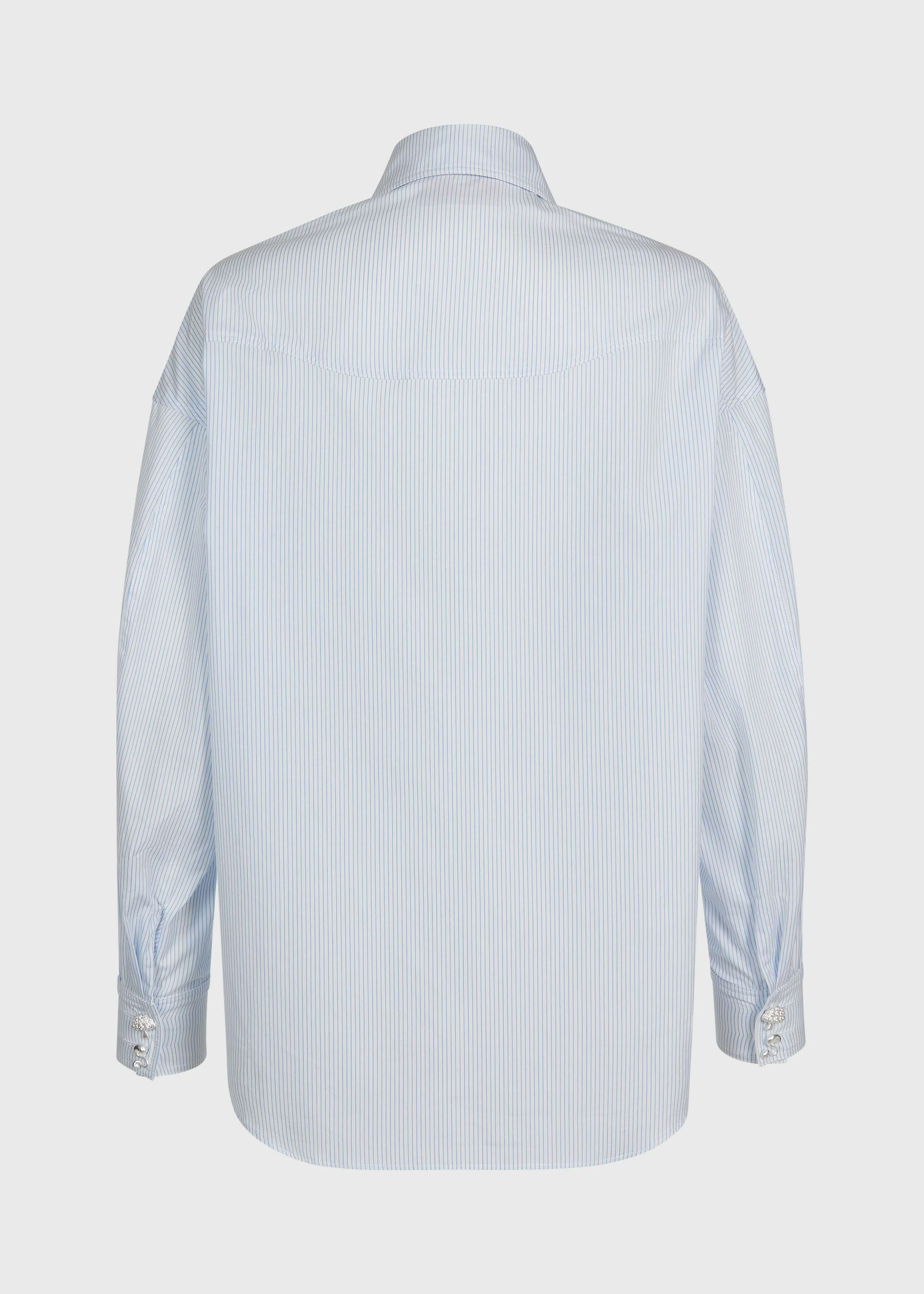 blue-shirt-back.webp